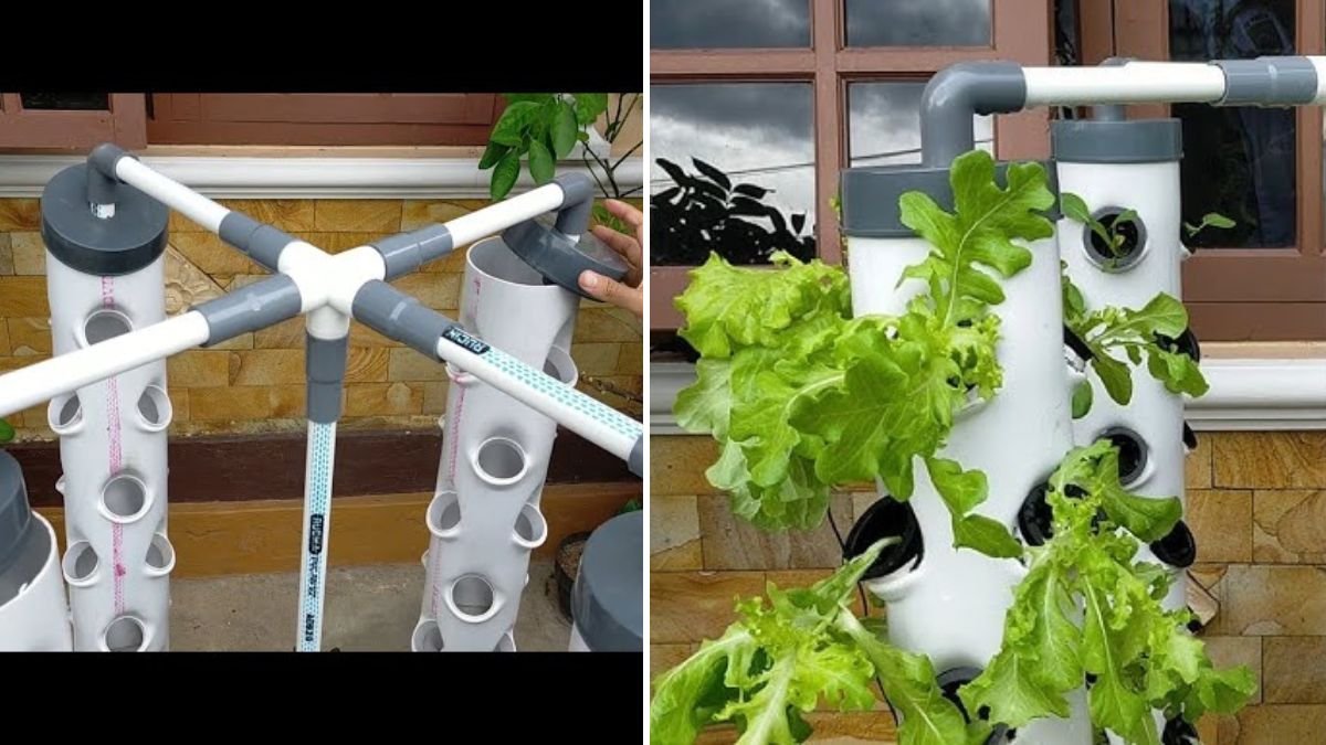 Grow More in Less Space: Build an Easy Vertical Hydroponics System Without Using Pots — A Complete 1200-Word Guide