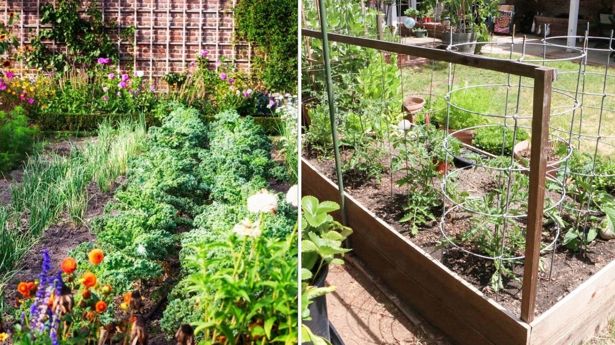 Great Idea to Transform Your Garden: Simple Strategies That Bring Plants to Lifev