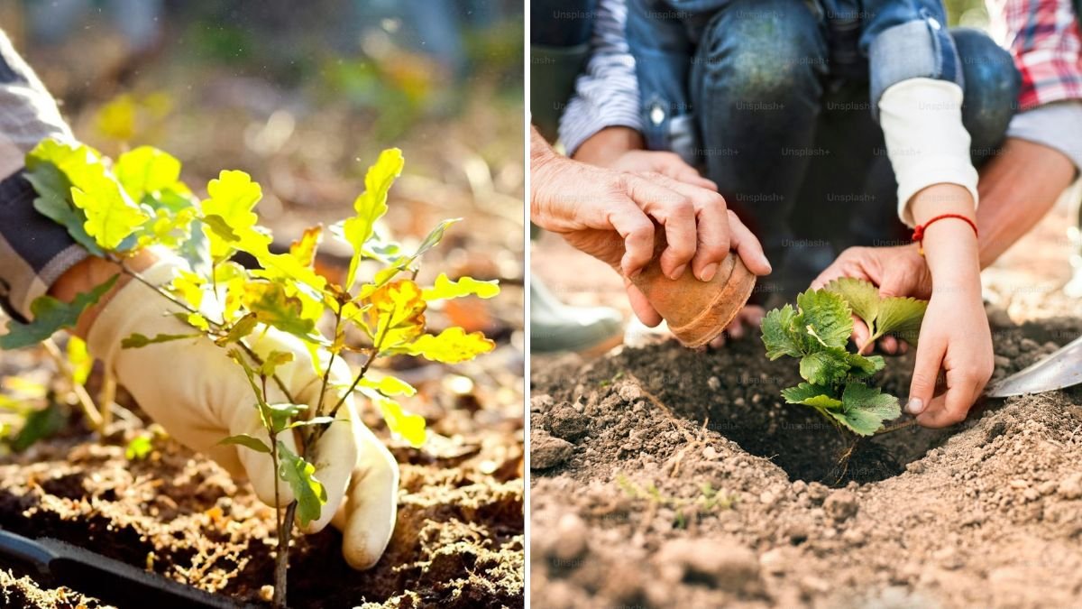 Great and Unique Ideas for Growing Plants Faster, Healthier, and More Beautiful