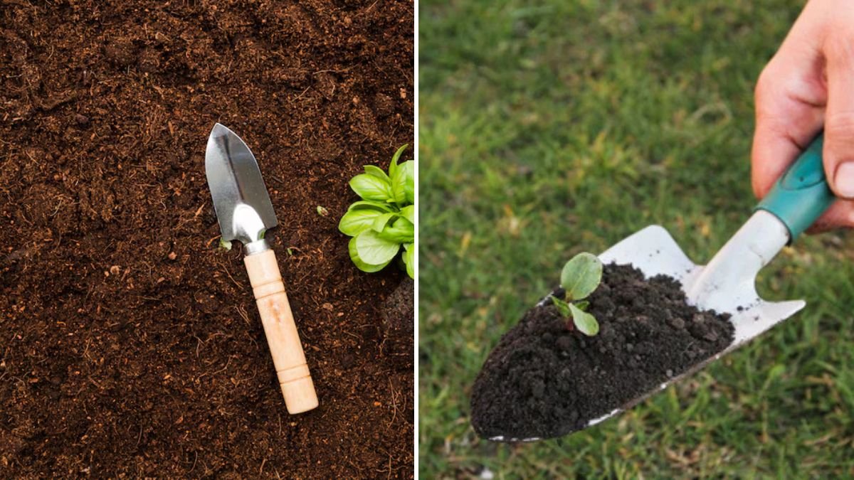 Special Secrets for Growing Any Plant Faster, Healthier, and More Productive